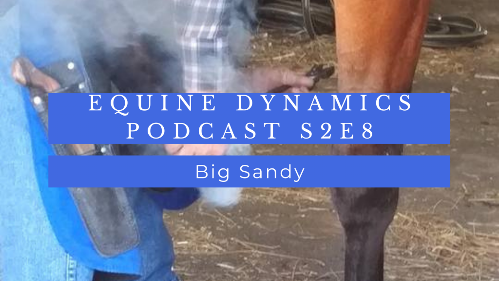 Close-up of Mike fitting a hot shoe to a horse's hoof overlaid by the text "Equine Dynamics Podcast S2E8 Big Sandy" in a blue block