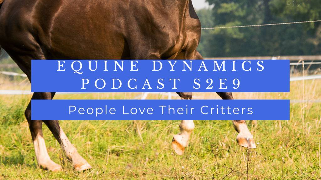 Bay horse with four white socks cantering across green grass with text "Equine Dynamics Podcast S2E9 People Love Their Critters" in blue blocks