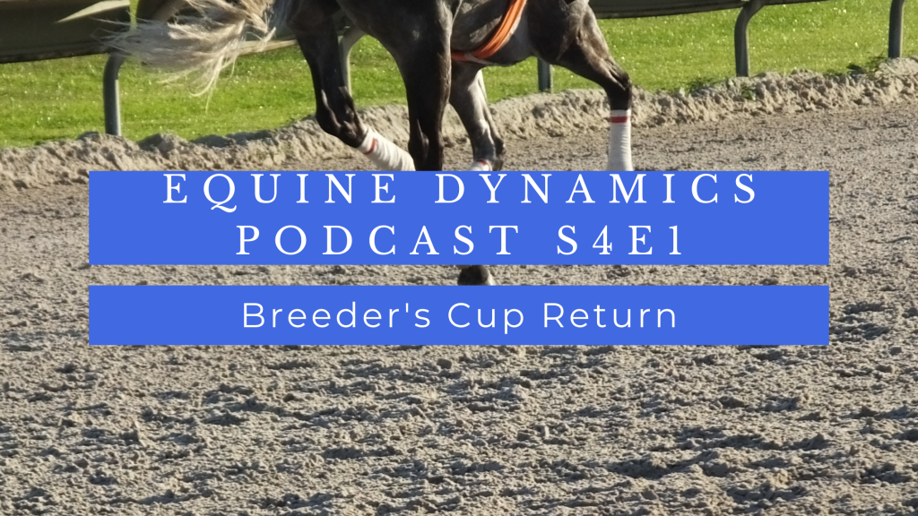 Gray racehorse with white wraps galloping on a racetrack overlaid with blue text boxes that read "Equine Dynamics Podcast S4E1: Breeder's Cup Return"