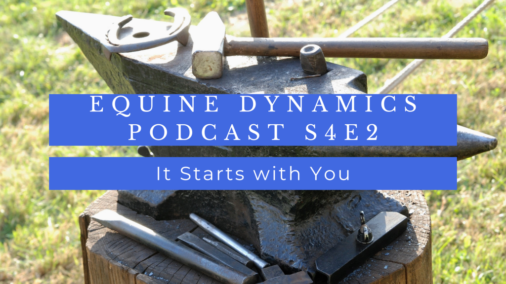 Horseshoeing anvil with horseshoe, hammer, and chisels set up tree stump with blue text box that reads: "Equine Dynamics Podcast S4E2: It Starts with You"