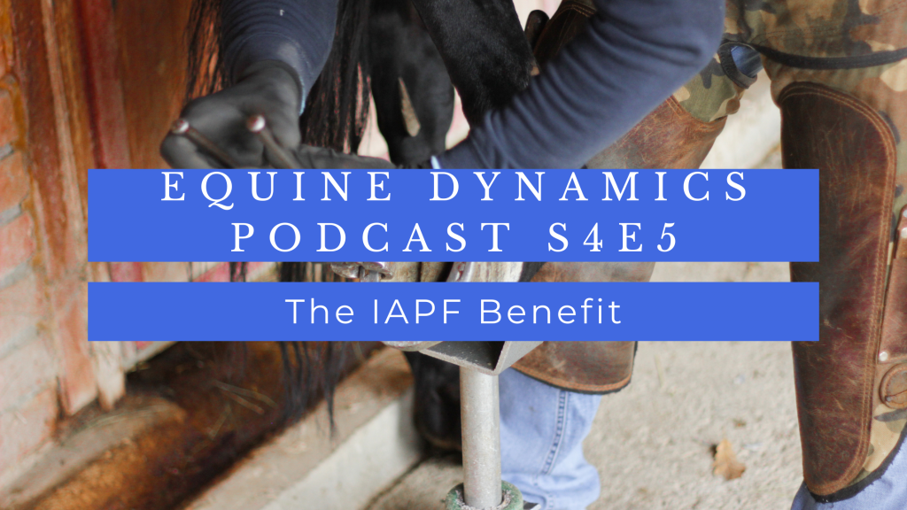 Text reading "Equine Dynamics Podcast S4E5 The IAPF Benefit" on blue background over picture of farrier wearing an apron trimming a bay horse's hoof.